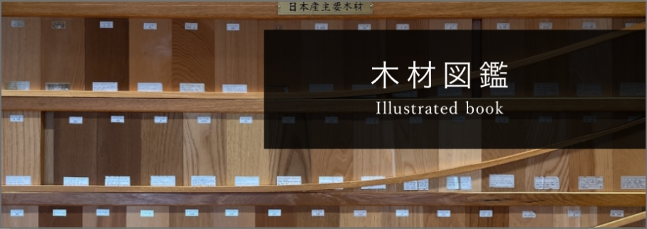 木材図鑑