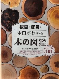 お薦めの本（板目・柾目・木口がわかる木の図鑑）｜東京木材問屋協同組合