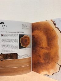 お薦めの本（板目・柾目・木口がわかる木の図鑑）｜東京木材問屋協同組合
